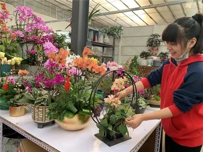 &ldquo;花&rdquo;点心思 迎新年!2020年北京迎春年宵花展启动