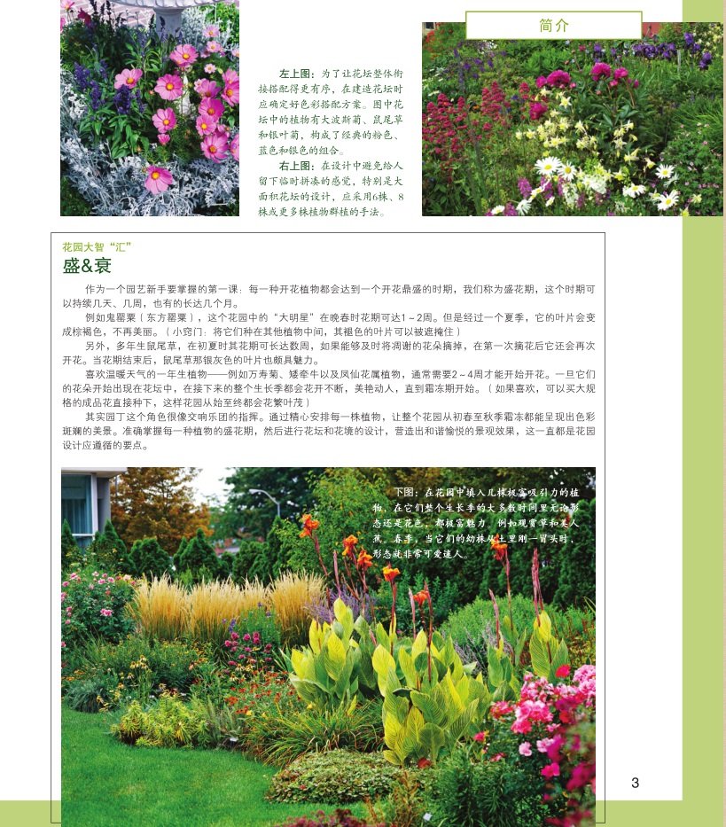 现货花坛与花境设计镜绿手指园艺丛书家庭园艺养花书籍养.